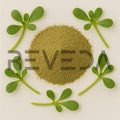 Verdolaga Powder