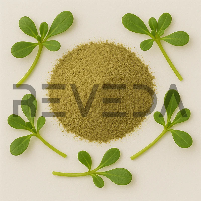 Verdolaga Powder