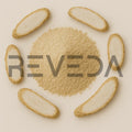 White Behman Extract Powder