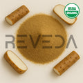 Wild Yam Extract Powder