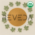 Wormwood Extract Powder