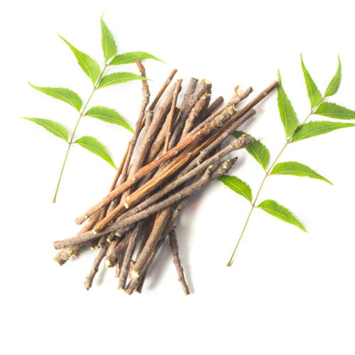 Neem Chewing Sticks