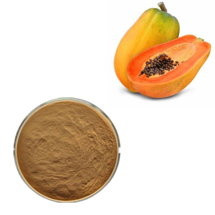 Papaya Seed Powder